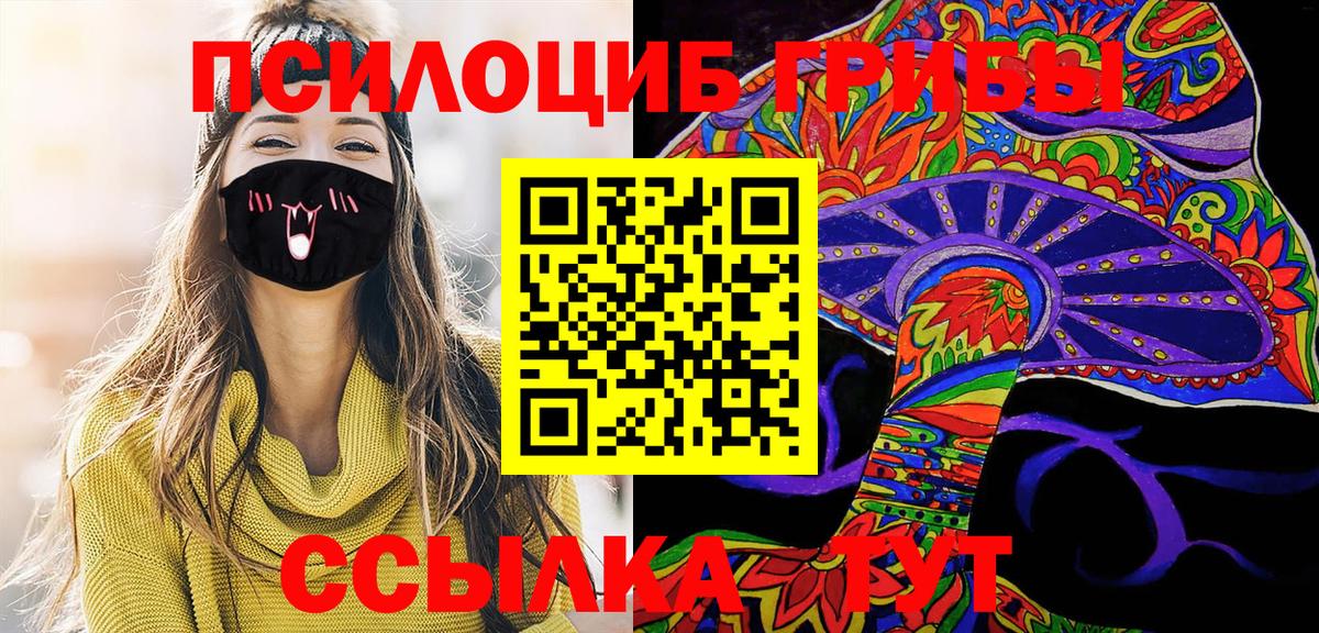 Псилоцибиновые грибы мухоморы  Вход с VPN  где купить наркотик  Галлюциногенные грибы Psilocybe  Брянск 