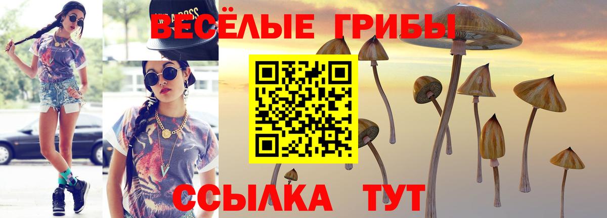 Галлюциногенные грибы MAGIC MUSHROOMS Брянск
