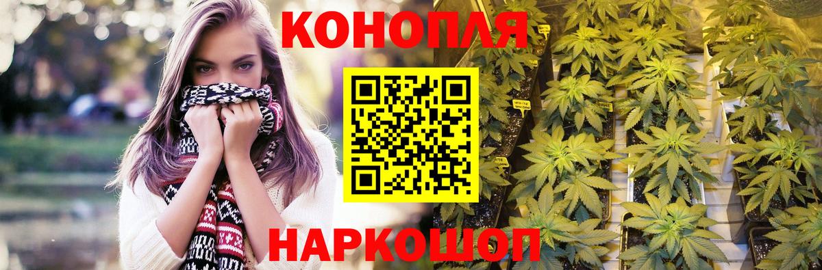 Конопля марихуана Брянск